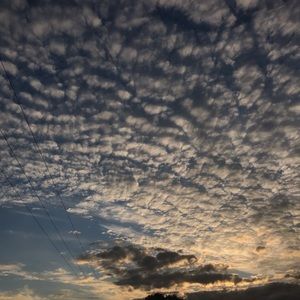 Meet your Posher, Bailey